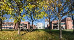 Panorama sull'università di Kristiansand, Norvegia: è circondata da alberi e prati - © Lillian Tveit / Shutterstock.com