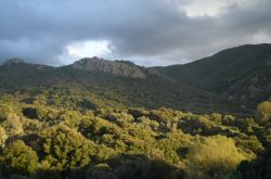 Panorama sulla strada da Ajaccio al comune di Bocognano