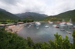 Panoramica della Baia di Girolata, Corsica - questa splendida baia, oltre ad una natura maestosa e ricchissima di fauna e vegetazione, possiede una storia a dir poco affascinante. Proprio ...