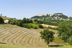 Panoramica delle campagne e del borgo di Camerino, provincia di Macerata