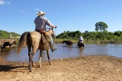 Pantanal a cavallo Brasile