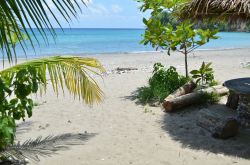 Paradise Beach a Runaway Bay, Giamaica. Meno affollato di turisti rispetto ad altre celebri spiagge della costa nord del paese, questo tratto di litorale vanta sabbia bianca e finissima.

