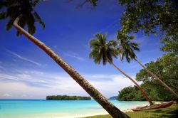 Paradiso tropicale a Olry, arcipelago di Vanuatu - © livcool / Shutterstock.com