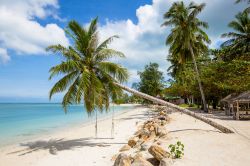 Paradiso tropicale a Koh Pha Ngan, Thailandia. Una palma da cocco sulla spiaggia con l'altalena in legno per dondolarsi in riva al mare.

