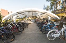 Parcheggio delle biciclette nei pressi dell'Università di Agder a Kristiansand, Norvegia - © Lillian Tveit / Shutterstock.com