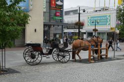 Il parcheggio per i calessi turistici in Market Square (Kauppatori) a Kuopio, Finlandia. E' uno dei modi più simpatici per visitare il centro di questa cittadina circondata dal lago ...