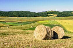 Parco di Colfiorito (Umbria): panorama estivo dopo la raccolta del foraggio