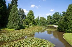 Parco Karlsaue a Kassel, Germania - Vegetazione e stagni con ninfee nel bel parco di Kassel, giardino pubblico in stile barocco. Dal 2009 appartiene al patrimonio dei parchi europei © elxeneize ...