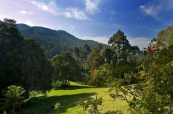 Il giardino botanico del Parque de Monserrate presso Sintra (Portogallo) ospita specie provenienti da tutto il mondo - foto © Luis Louro / Shutterstock.com
