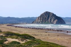 Partecipanti alla Miracle Miles for Kids Marathon sulla spiaggia di Morro Bay, California. Da anni, migliaia di persone corrono (o camminano) da questa località sino a Cayucos per una ...