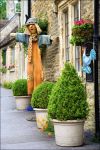 Particolare di una casa a Castle Combe, Inghilterra - Con il suo scenario da fiaba, questo incantevole borgo inglese alterna paesaggi naturali con colline verdeggianti a tipici edifici britannici ...