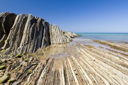 Particolare dei flysch sulla costa di Zumaia, Paesi Baschi, Spagna. I flysch sono considerati dei depositi orogenici che si accumulano in bacini all'interno di un orogeno, cioè l'area ...