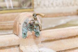 Particolare del rubinetto della Fontana dei Celestini a Vichy, Francia.

