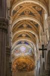Particolare del soffitto decorato della cattedrale di San Martino a Lucca, Toscana. L'aspetto interno della chiesa è caratterizzato da un evidente verticalismo anche per via delle ...