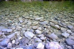 Particolare delle acque verdi delle pozze smeraldine a Tramonti si Sopra in Friuli
