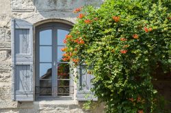 Particolare di una tipica casa di Pezenas, Francia, in stile gotico.

