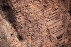 Particolare di una parete rocciosa a Scandola - le pareti rocciose della Riserva naturale di Scandola sono una sorpresa continua. Originatesi da eruzioni vulcaniche di millenni fa, queste straordinarie ...