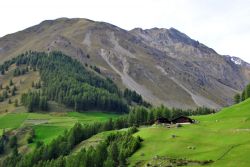 Pascoli verdi della Val Senales, Trentino Alto Adige: una vegetazione fitta e rigogliosa caratterizza questa valle trentina dove sia d'estate che d'inverno ci si può immergere ...