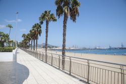 Paseo de las Canteras, il lungomare della Playa de Las Canteras, Las Palmas de Gran Canaria (Spagna).
