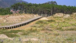 Passaggio pedonale in legno per la spiaggia di Esposende, Portogallo.
