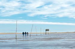 Passeggiata con la bassa marea nei dintorni del castello di Lindisfarne, Inghilterra.


