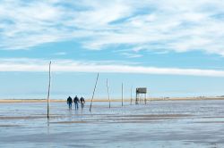 Passeggiata con la bassa marea nei dintorni del castello di Lindisfarne, Inghilterra.

