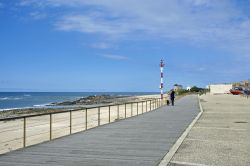 Passeggiata in compagnia di un cane lungo la spiaggia di Apulia a Esposende, Portogallo - © Rafal Gadomski / Shutterstock.com