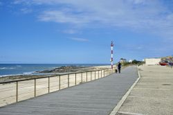 Passeggiata in compagnia di un cane lungo la spiaggia di Apulia a Esposende, Portogallo - © Rafal Gadomski / Shutterstock.com