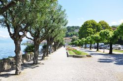 Passeggiata lungo il lago di Como a Menaggio, Lombardia. Per andare alla scoperta di questa città che si affaccia sul Lario si può percorrere la piacevole passeggiata da cui ammirare ...