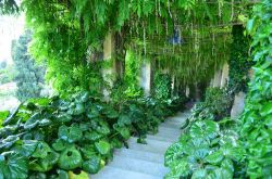 Passeggiata nei giardini di Villa della Pergola ad Alassio