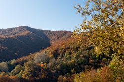 Passeggiata sei sentieri del Monte Falterona a Campigna in autunno