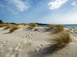 Passeggiata sulle dune costiere del sud della Sardegna presso Porto Pino