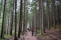 Passeggiata tra i boschi sui Monti Tatra nella Piccola Polonia - Foto S. Vietto Ramus e Massimo Valentini