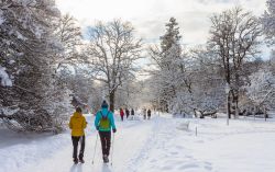 Passeggiate di Nordic Walking in un parco di Mariasnke Lazne, Repubblica Ceca, in inverno con la neve - © nikolpetr / Shutterstock.com
