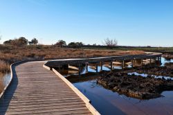 Passerella in legno in un paesaggio naturale nei pressi di Sagunto, Comunità Autonoma Valenciana (Spagna).

