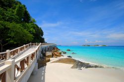 Passerella pedonale vicino a una spiaggia sull'isola di Redang, Malesia. Siamo al largo della costa orientale della Malesia peninsulare: l'isola di Palau Redang fa parte di un arcipelago ...