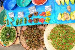 Peperonicini e altri frutti su un banco del mercato degli agricoltori nella capitale Antananarivo (Madagascar) - foto © ronemmons / Shutterstock.com
