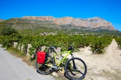 Percorsi in bici attraverso i vigneti di Javea, Spagna.



