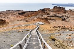 Isla Bartolomé è una piccola isola delle Galapagos: possiede infatti una superficie di appena 1,2 km quadrati, ma è una delle più visitate per i suoi spettacolari ...