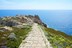 Percorso di trekking sull'isola del Giglio, ...