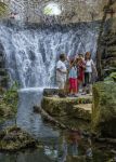 Percorso nella giungla tropicale di Xcaret, Yucatan. Siamo nel sito archeologico costruito in origine dalla civiltà Maya sulla costa caraibica della penisola dello Yucatan - © posztos ...