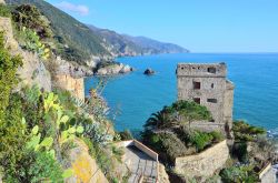 Percorso panoramico a Monterosso al Mare, Liguria, Italia - A chi piace passeggiare il borgo ligure offre dei suggestivi camminamenti cha accompagnano verso Punta Mesco, la bella vetta che chiude ...