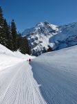 Percorso per slitte a Les Diablerets, Svizzera. In questo territorio nel cuore della Svizzera si possono praticare sci, snowboard e slittino oltre che divertirsi in una stazione sciistica che ...