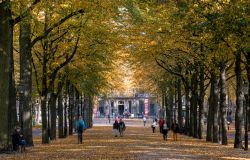 Persone passeggiano a Lange Voorhout, Den Haag (Olanda) in autunno. Si tratta di una strada a forma di L situata nel centro storico della città e che raggiunge i 500 metri di lunghezza ...