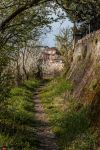 Pescantina, uno scorcio di campagna lungo il fiume Adige (Veneto).
