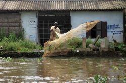 Un pescatore stende le reti nelle backwaters di Alleppey (Alapphuza), nello stato del Kerala, nell'India meridionale - foto © AJP / Shutterstock.com 