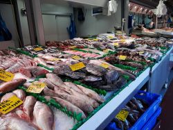 Pesce fresco al The Hague Market (De Haagse Markt), Olanda. Si tratta di uno dei più grandi mercati multiculturali d'Europa: ogni giorno viene visitato da circa 25 mila persone - Gabriela ...