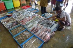 Pesce in vendita al Pontian Fish Market o Pasar Awam Pontian a Johor, Malesia. Si tratta di uno dei più celebri mercati del pesce  di questo territorio malesiano - © Sultonyohe ...