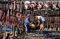 Pesce steso ad essiccare nella città di Myeik, sud del Myanmar - © amnat30 / Shutterstock.com