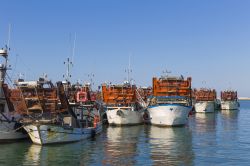 La flotta dei pescherecci nel porto di San Benedetto del Tronto - ©NICOLA MESSANA PHOTOS / Shutterstock.com 